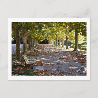 Postal Otoño en el Parque: Tokio