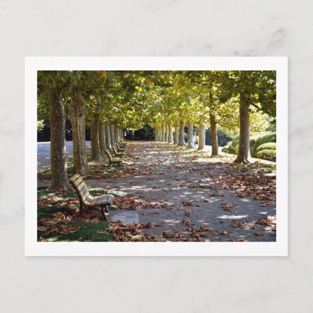 Postal Otoño en el Parque: Tokio (Anverso)