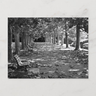 Postal Otoño en el parque: Tokio