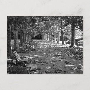 Postal Otoño en el parque: Tokio