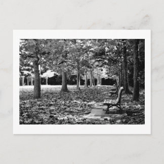 Postal Otoño en el Parque: Tokio