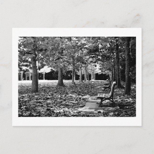 Postal Otoño en el Parque: Tokio (Anverso)