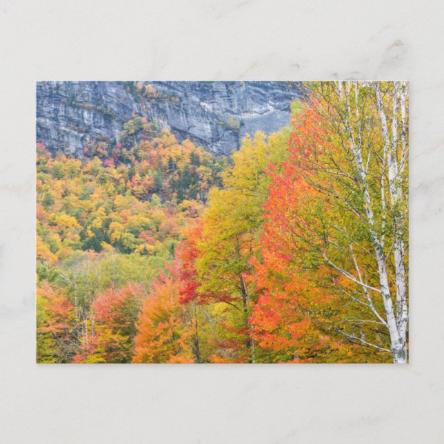 Postal Otoño en Grafton Notch State Park, Maine (Anverso)
