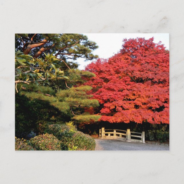 Postal Otoño en Japón (Anverso)