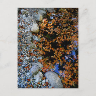 Postal Otoño en Jardín