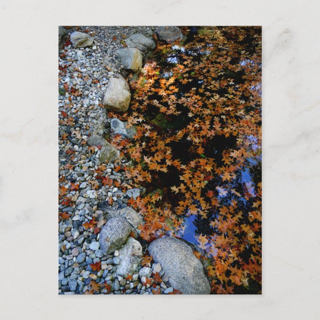 Postal Otoño en Jardín (Anverso)