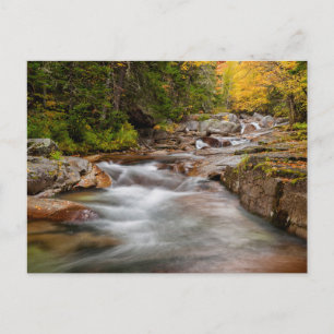 Postal Otoño en Jefferson Brook, New Hampshire