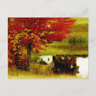 Postal Otoño en Kentucky