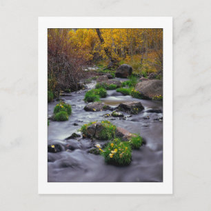 Postal "Otoño En La Creek Del Molino"