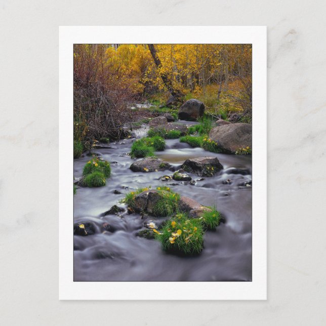 Postal "Otoño En La Creek Del Molino" (Anverso)