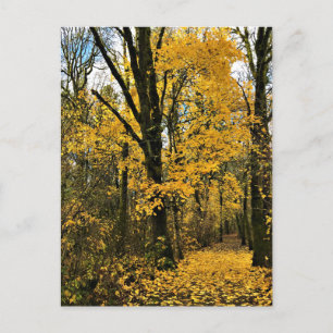 Postal Otoño en los bosques