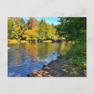 Postal Otoño en Michigan