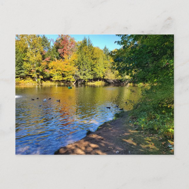 Postal Otoño en Michigan (Anverso)