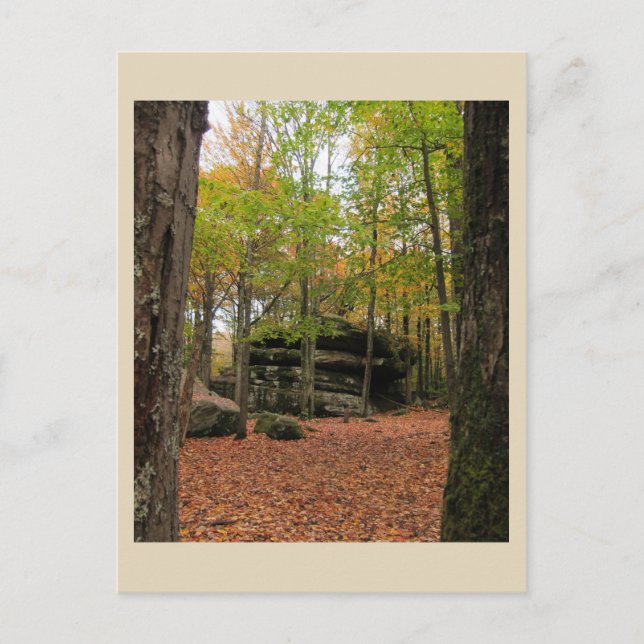 Postal Otoño en Nueva York - 1 (Anverso)