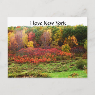 POSTAL OTOÑO EN NUEVA YORK RURAL