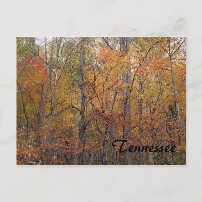 Postal Otoño en Tennessee (Anverso)