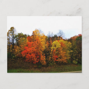 Postal Otoño en West Bend, Wisconsin