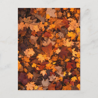 Postal otoño-follaje-111315 OTOÑO DEJA COLORES ATRÁS
