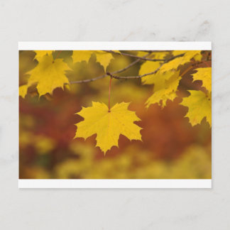 Postal Otoño inspirador