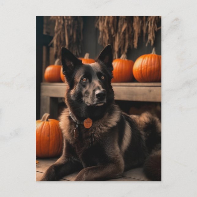 Postal Otoño Shepherd (Anverso)