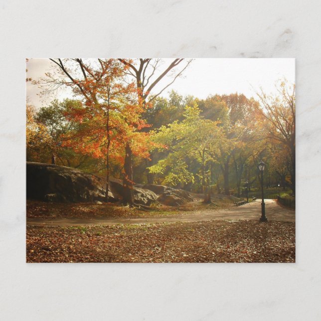 Postal Otoño Sun Rays, Central Park, Nueva York (Anverso)