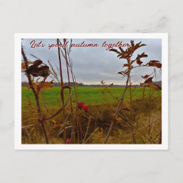 Postal Otoño Tardío Melancólico: Escaramujos Rojos y Camp