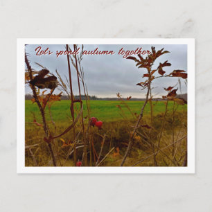 Postal Otoño Tardío Melancólico: Escaramujos Rojos y Camp