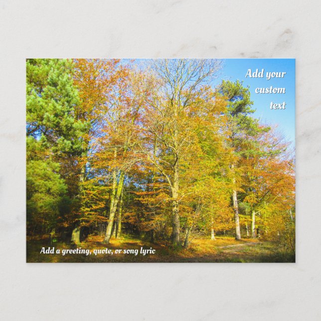 Postal Otoño Woods & Sunshine - Personalizado (Anverso)