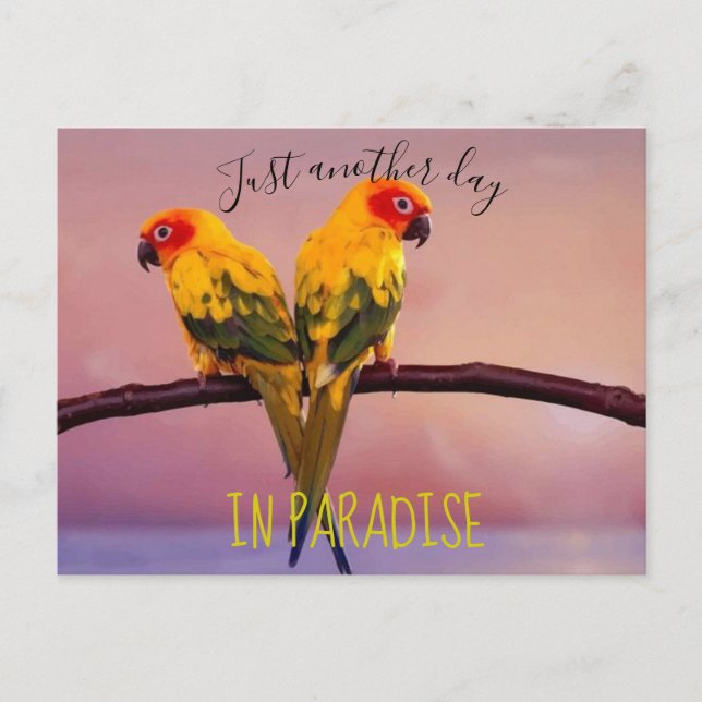 Postal Otro día en PARADISE (Anverso)