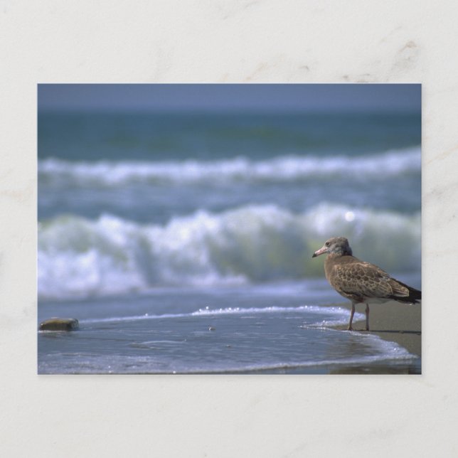 Postal otro lado del mar (Anverso)