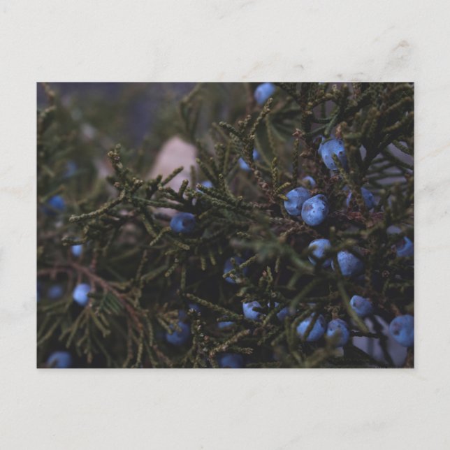 Postal "Otros mundos azules" (Anverso)