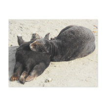 Otter marino de almohada Fluffiest