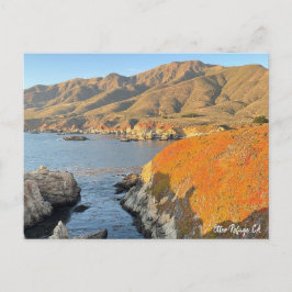 Postal Otter Refuge, CA