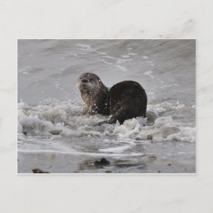 Postal Otter River