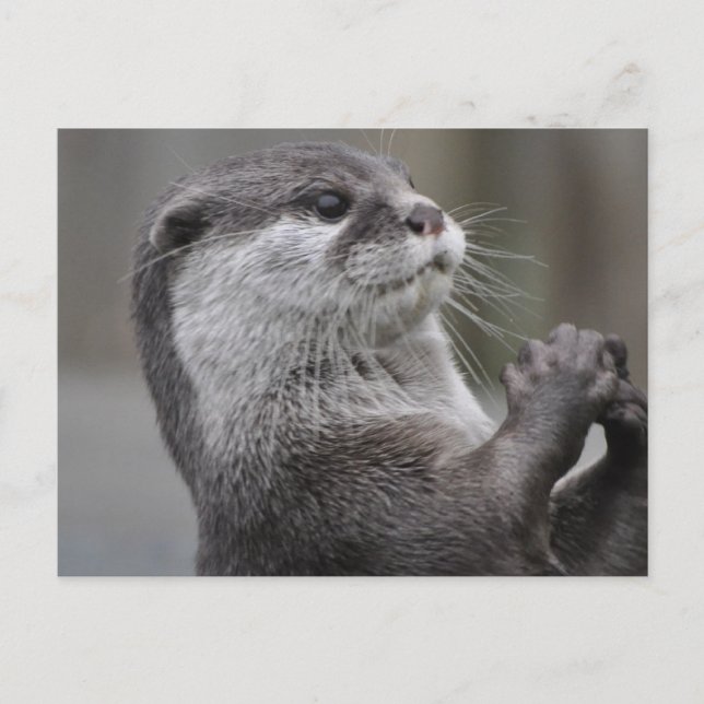 Postal Otter River (Anverso)