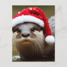 Otter Santa Hat Adorable