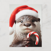 Otter Santa Hat Adorable Candy Cane