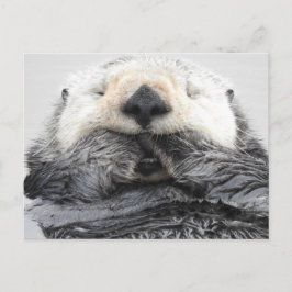 Postal Otter Sea Otter