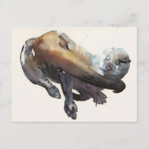 Postal Otter Study I - 'Talisker'