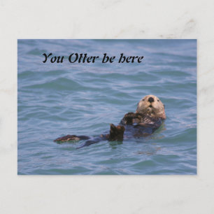 Postal Otter, ven aquí.