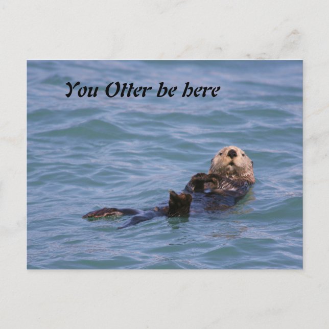 Postal Otter, ven aquí. (Anverso)