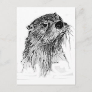 Postal Otter Whiskers