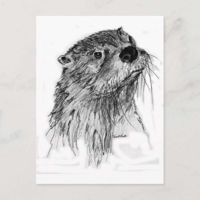 Postal Otter Whiskers (Anverso)