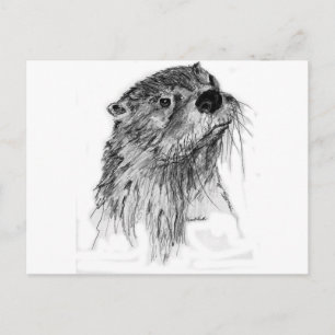 Postal Otter Whiskers