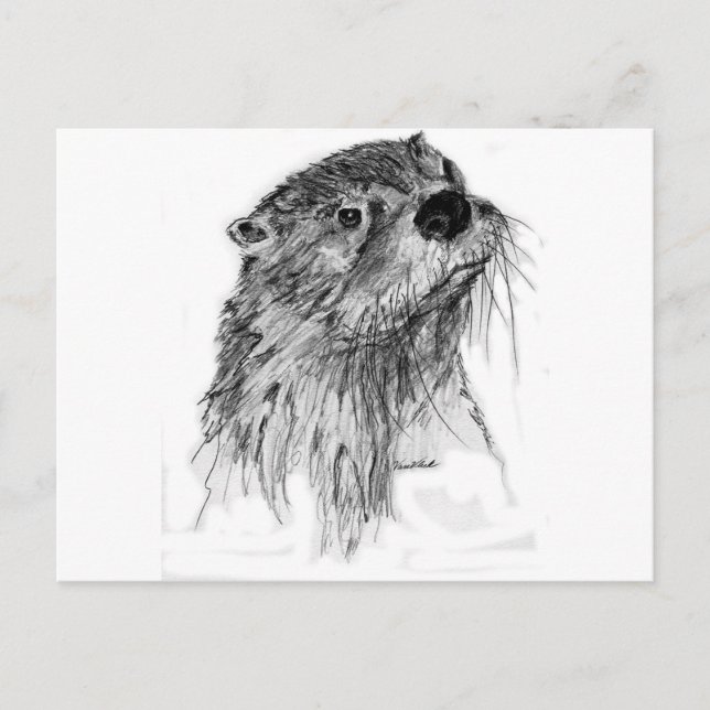 Postal Otter Whiskers (Anverso)