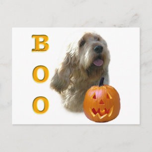Postal Otterhound Boo