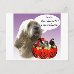 Postal Otterhound Halloween Candy