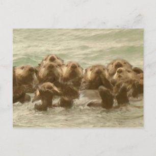 Postal Otters del mar