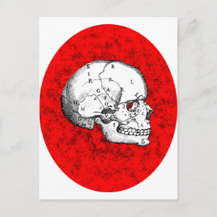 Postal Oval Skull