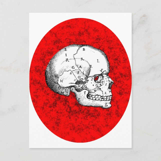 Postal Oval Skull (Anverso)